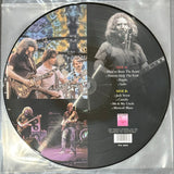 Grateful Dead Live 1980 (Picture Disc)