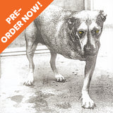 Alice In Chains Alice In Chains (30th Ann 2-LP)