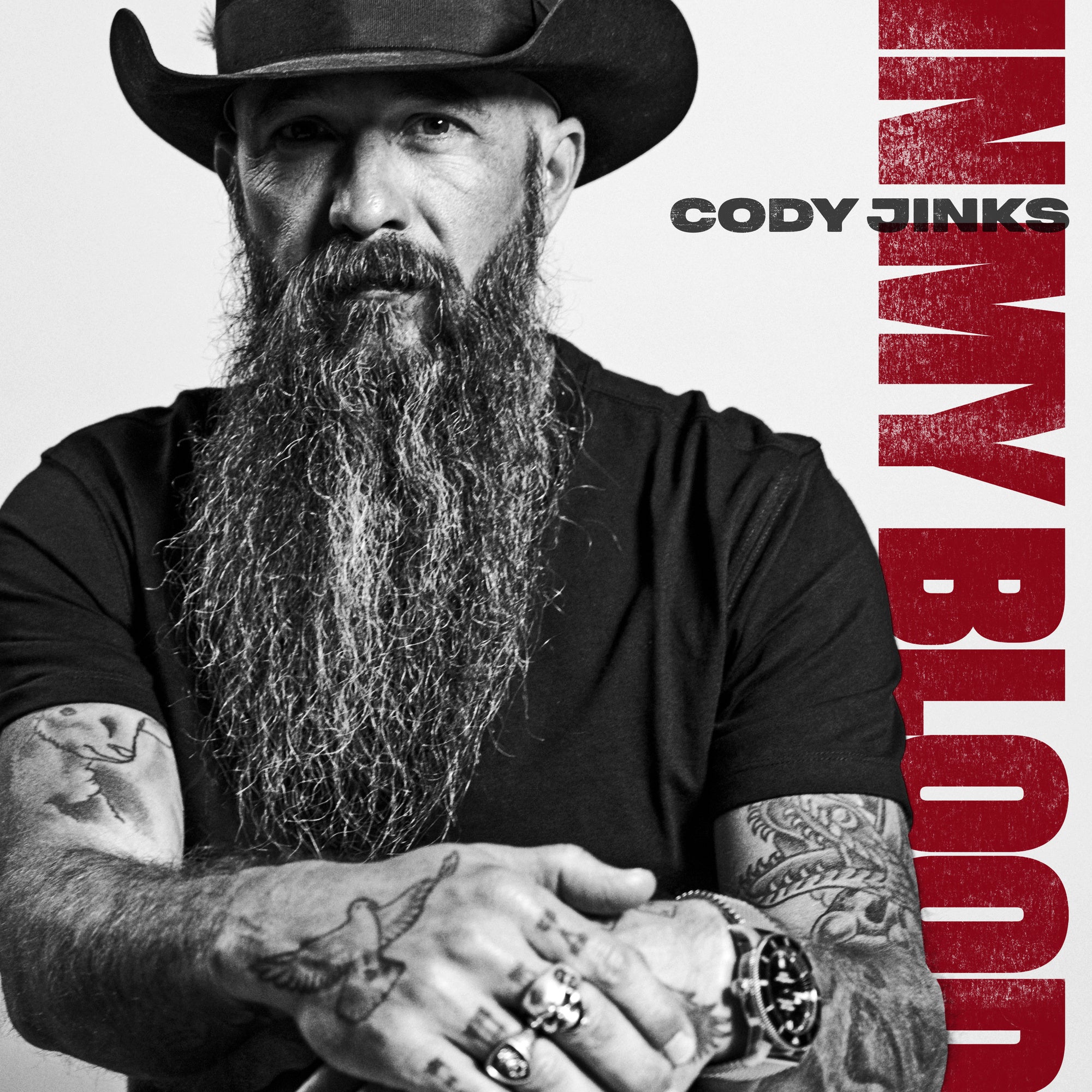 Cody Jinks In My Blood (2-LP)