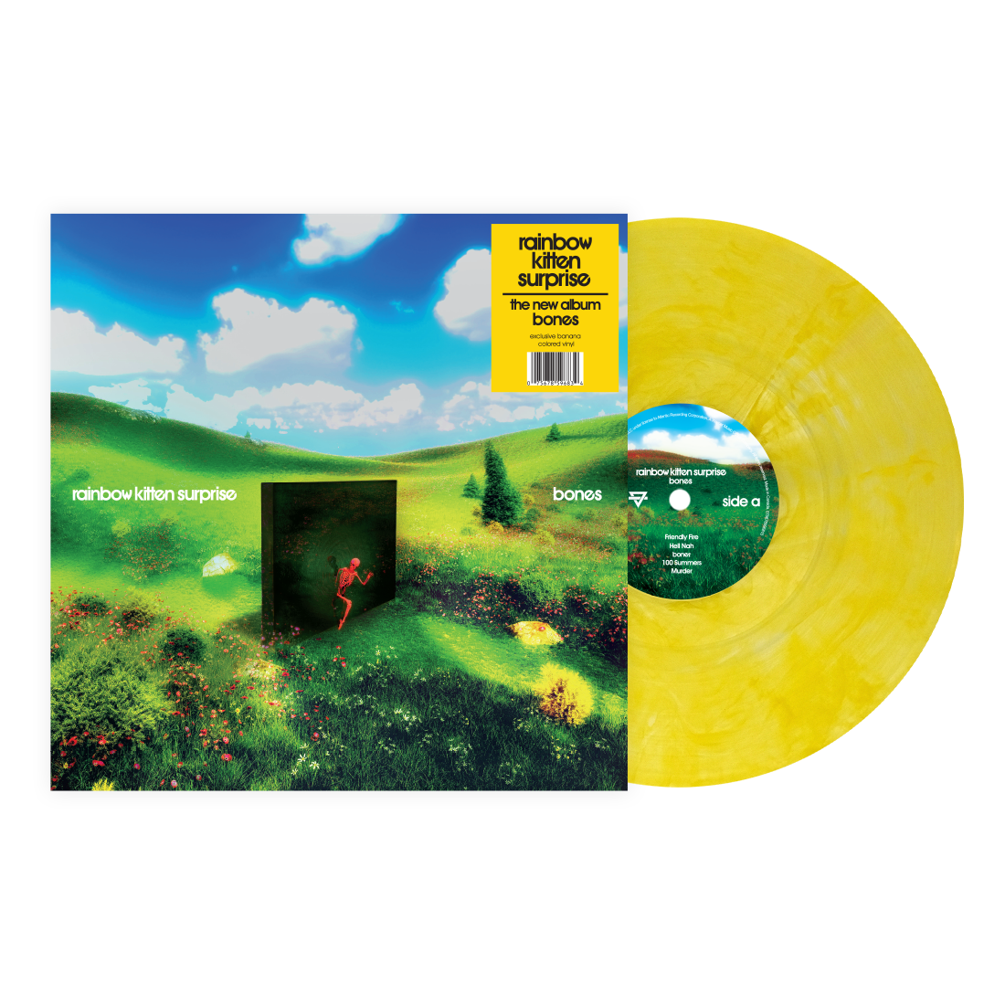 Rainbow Kitten Surprise Bones (IEX Yellow)
