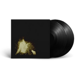 Wolf Alice My Love Is Cool