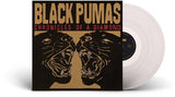 Black Pumas Chronicles Of A Diamond Clear