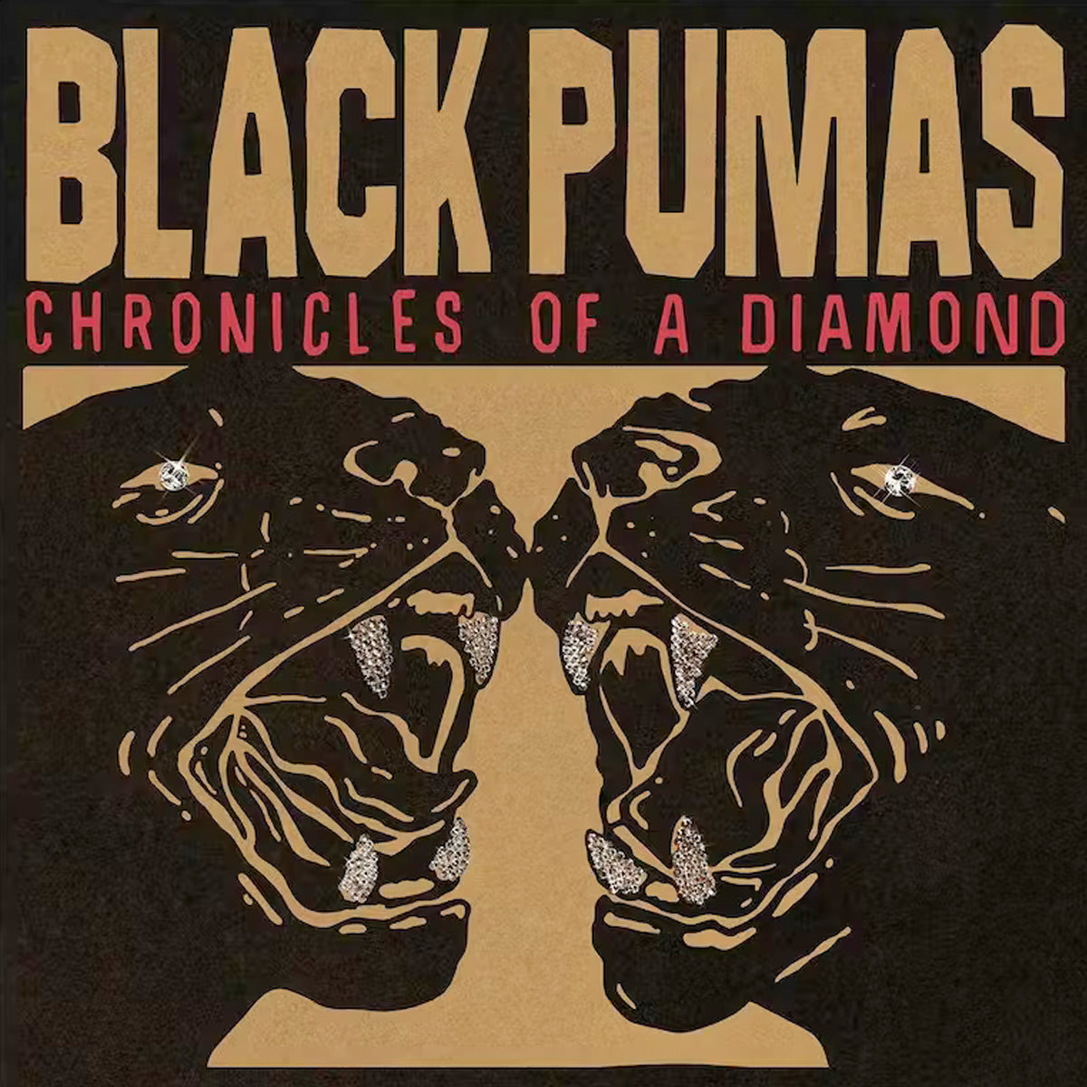 Black Pumas Chronicles Of A Diamond 