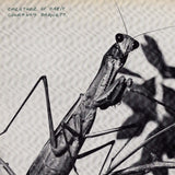 Courtney Barnett Creature Of Habit