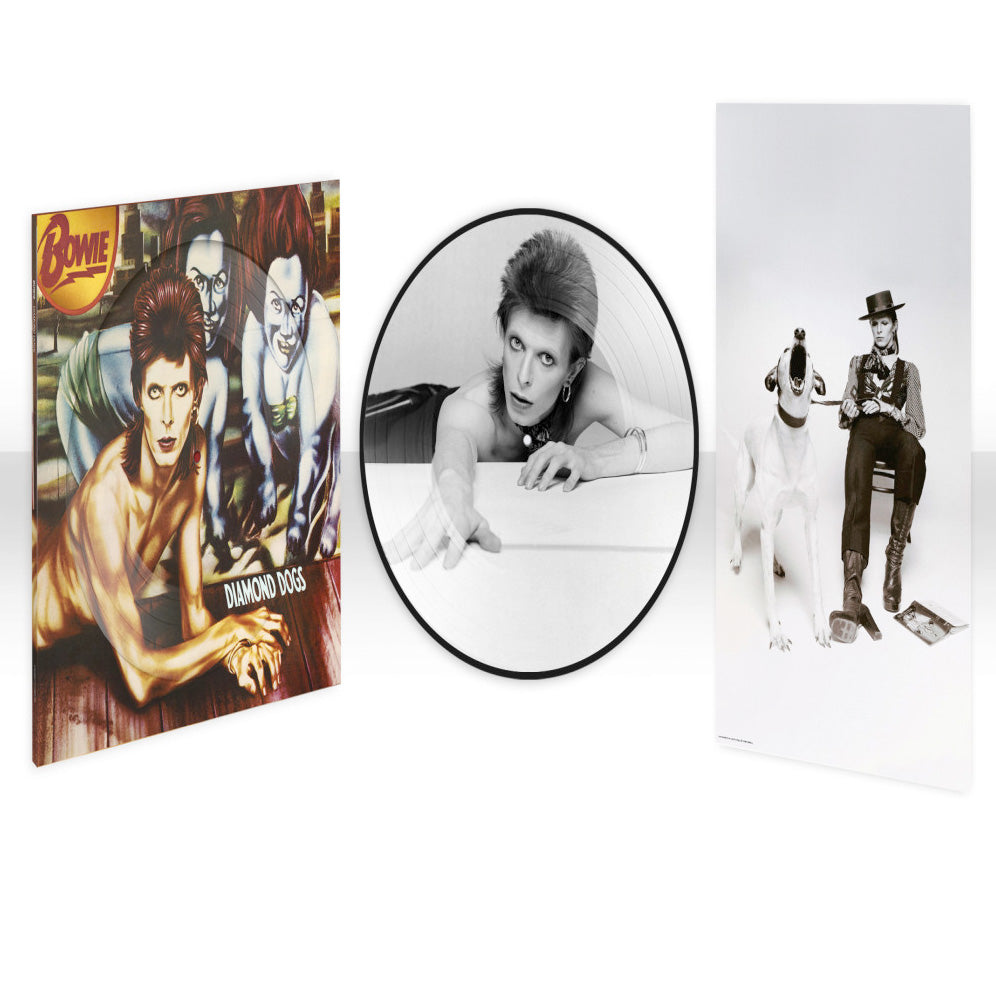 David Bowie Diamond Dogs Picture Disc