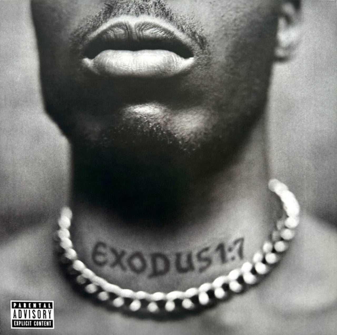 DMX Exodus