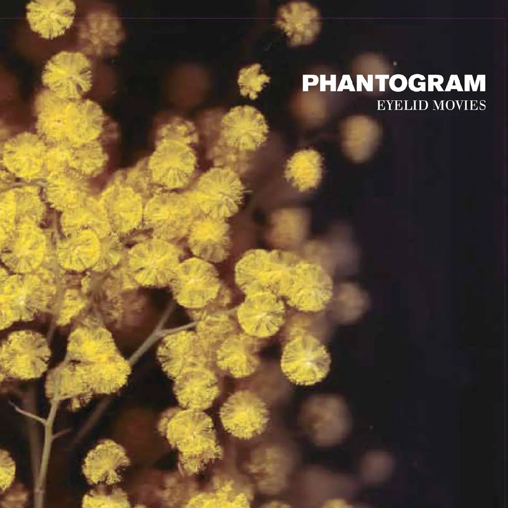 Phantogram Eyelid Movies