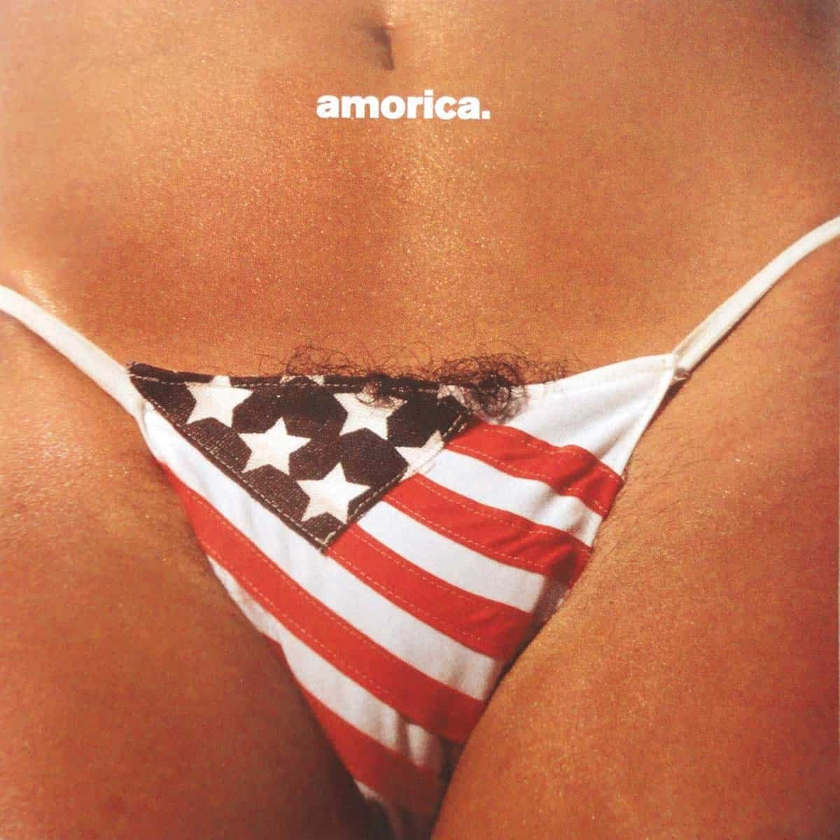 Black Crowes Amorica Vinyl Record