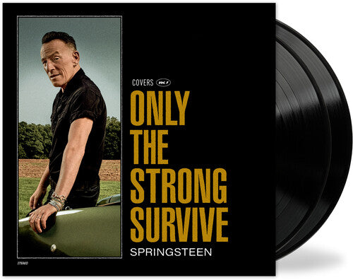 Bruce Springsteen Only The Strong Survive (2-LP)