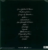 Daft Punk Random Access Memories (2-LP)