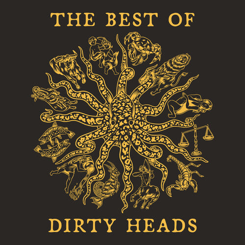 Dirty Heads The Best Of 2-LP