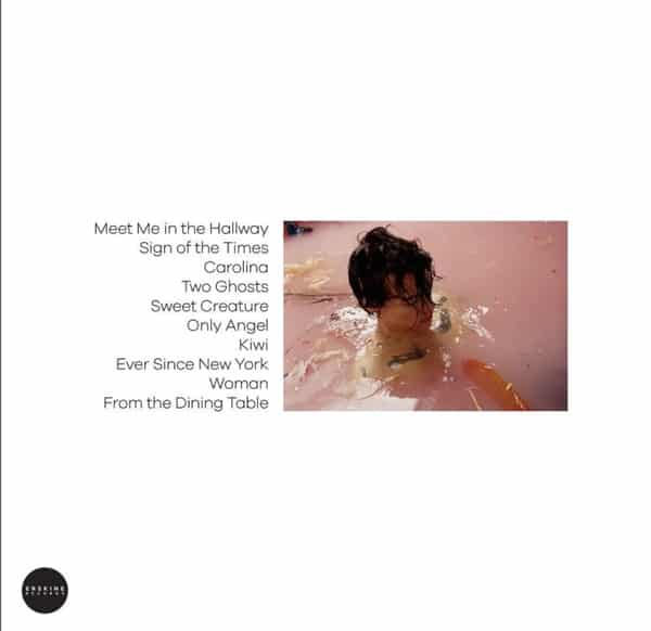 Harry-Styles-Harry-Styles-vinyl-LP-record-album-back