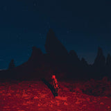 Phoebe-Bridgers-Punisher-vinyl-record-album1