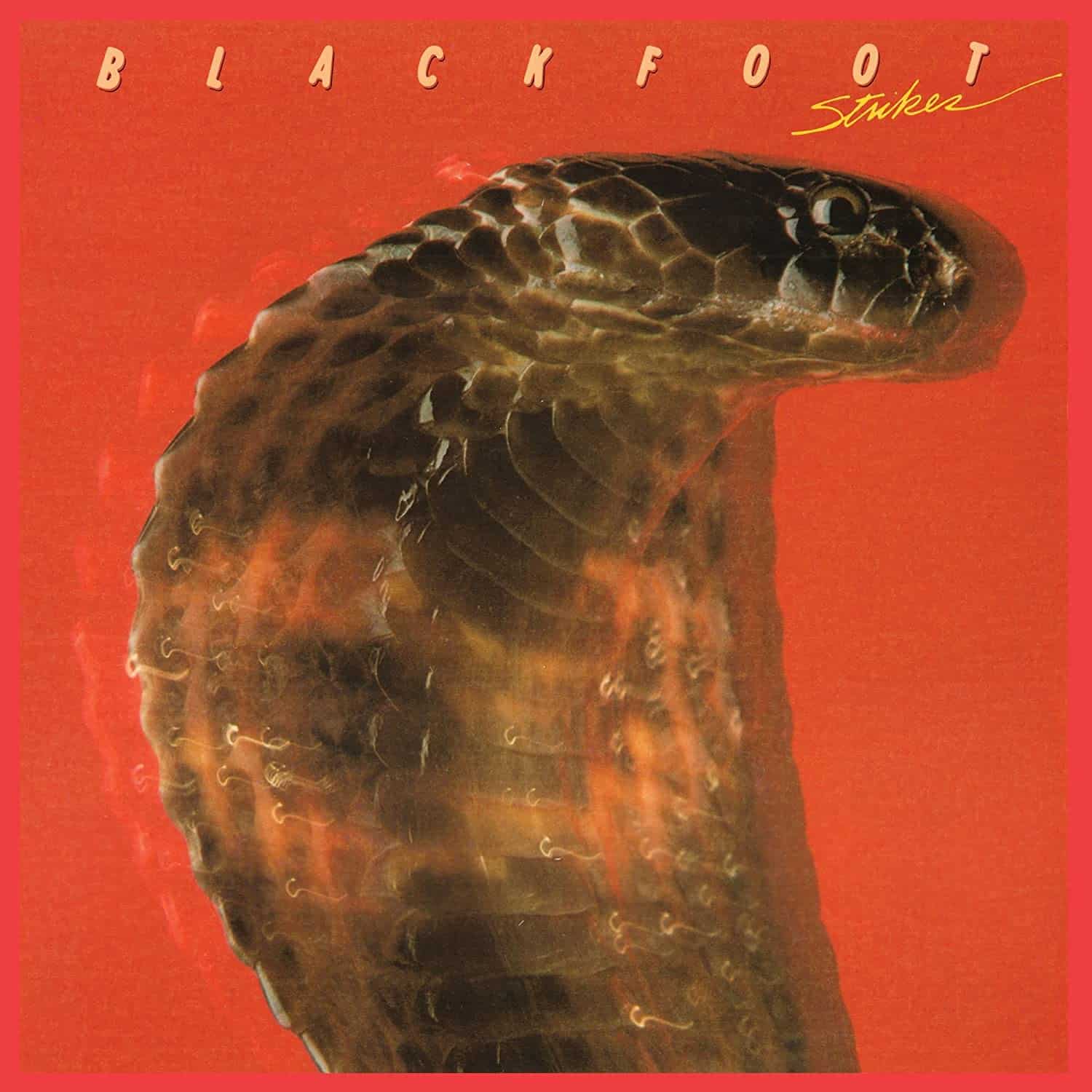 blackfoot-strikes-vinyl-record-album-LP-front