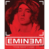 Eminem: The Way I Am