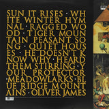 fleet-foxes-fleet-foxes-vinyl-record-album-2
