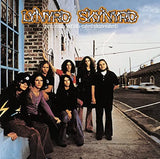 Lynyrd Skynyrd Pronounced Leh-Nerd Skin-Nerd