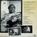 rl-burnside-a-ass-pocket-full-of-whiskey-vinyl-record-album-2