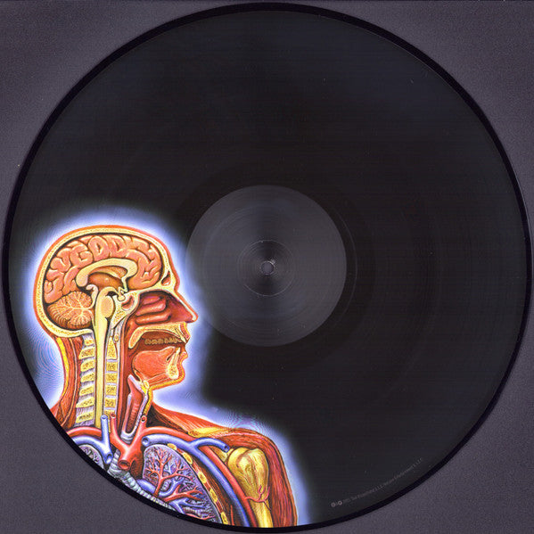 Tool — Lateralus (Picture Disc 2-LP) – Deaf Man Vinyl